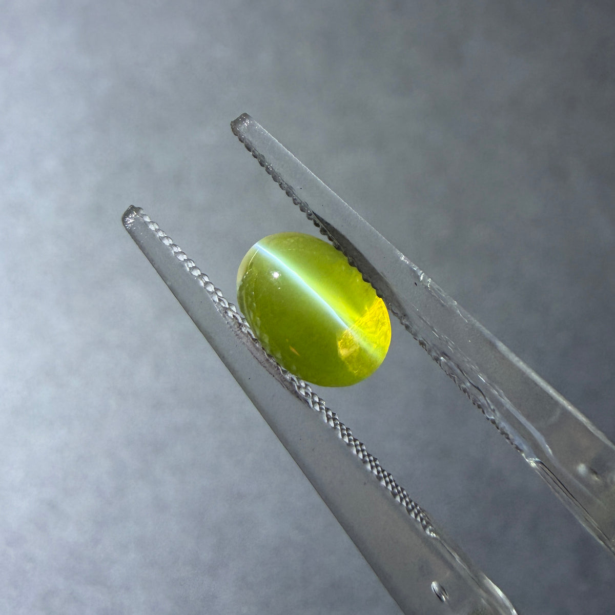 金綠貓眼 1.60克拉