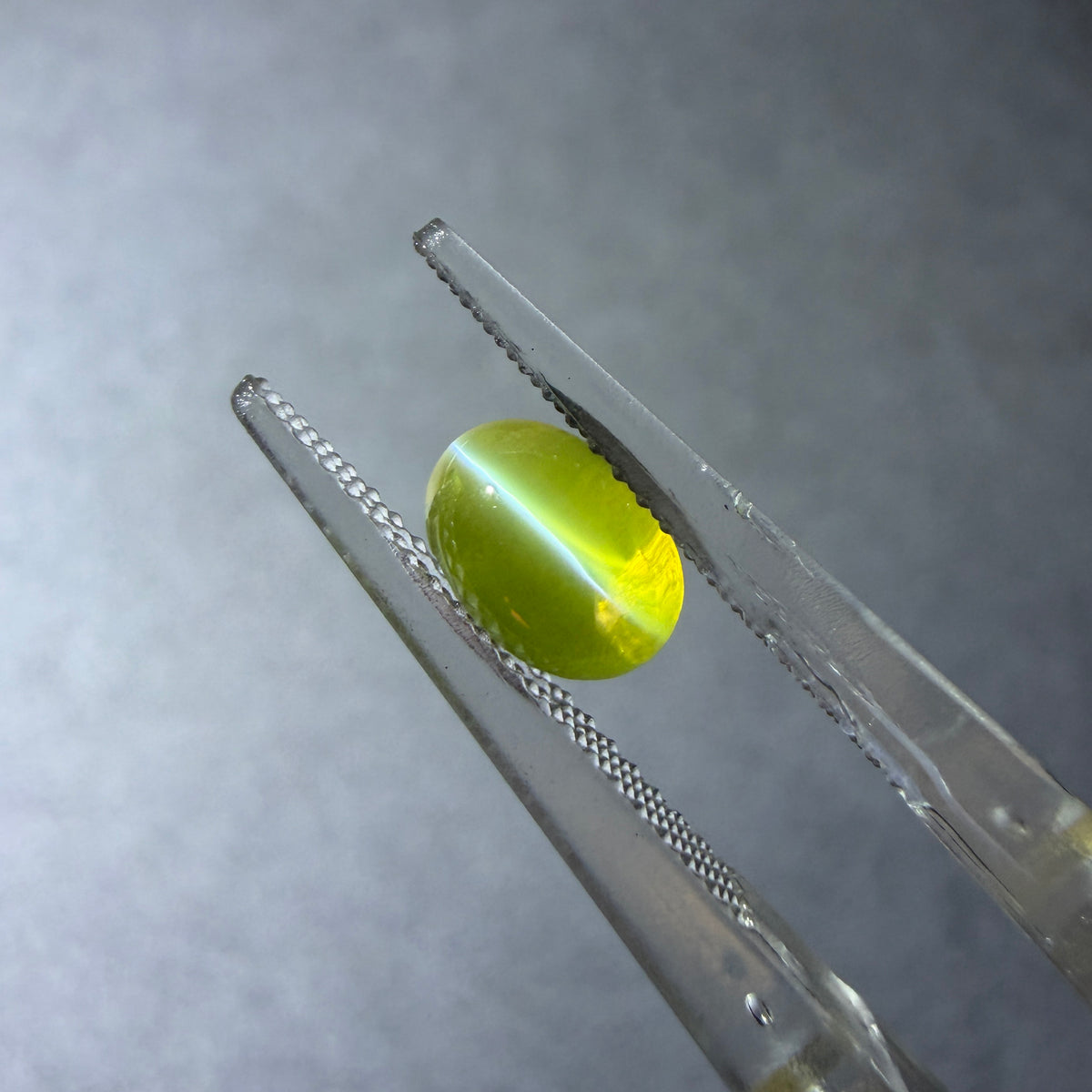 金綠貓眼 1.60克拉